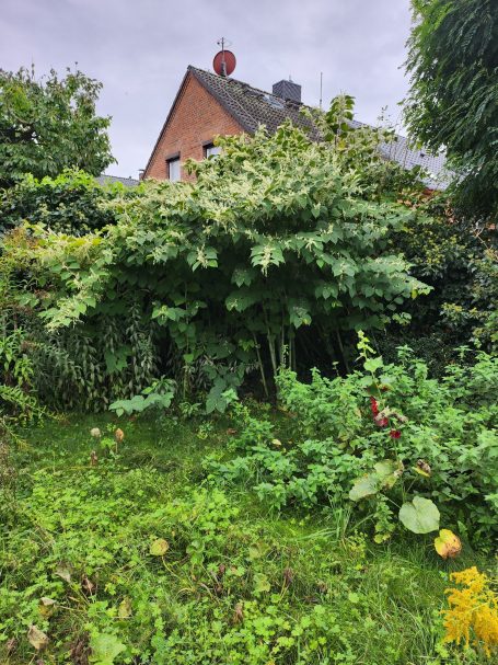 kleiner Einblick vorher